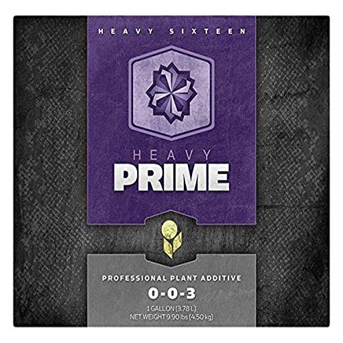 Heavy 16 Prime Concentrate Heavy 16 Prime Gallon (4 Liter) #TOP2
