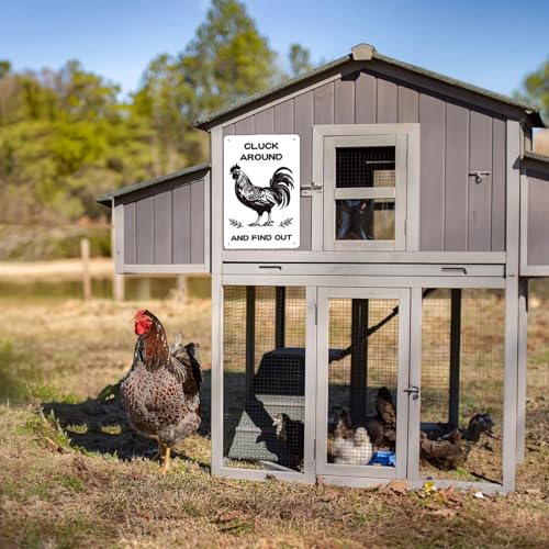 Chicken Coop Signs, Cluck Around and Find Out, Metal Signs for Farmhouse, Garden, or Kitchen Decor, Chicken Signs for Coops and Farms(8" x 12") — view 5
