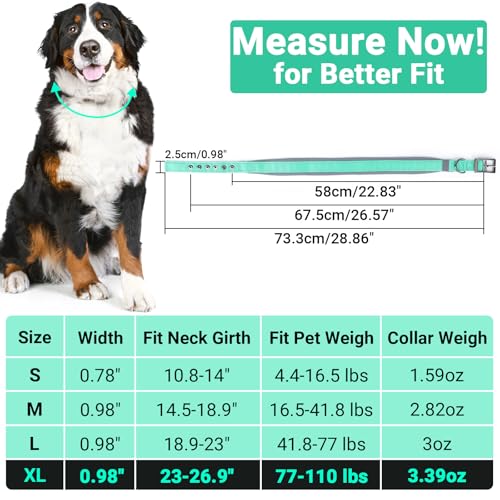 Collier réfléchissant chien XL vert large réglable confortable métal - 4
