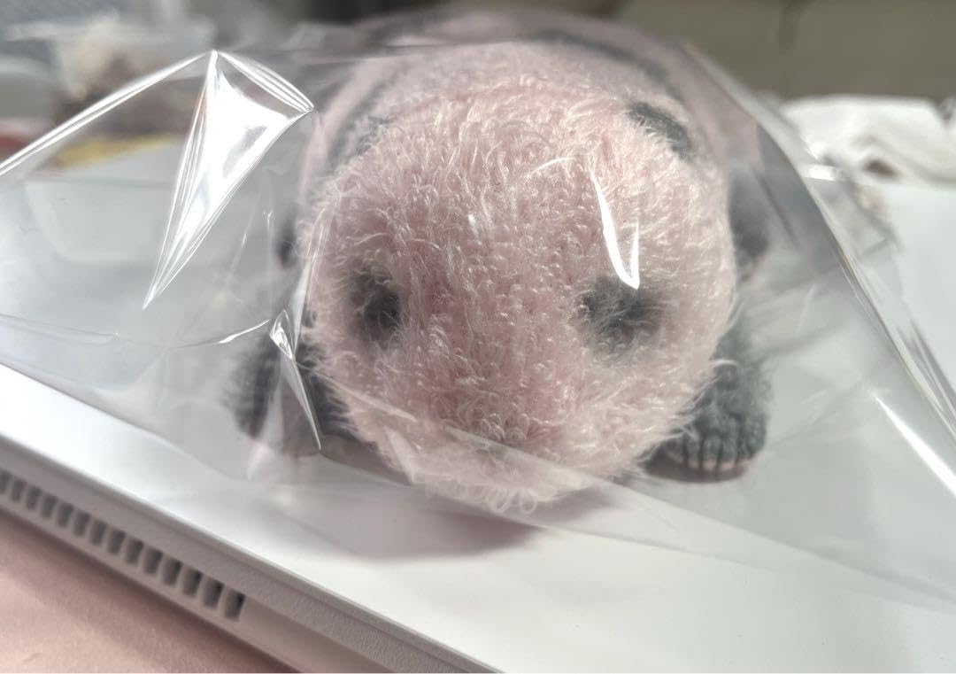 Amazon.co.jp: 赤ちゃんパンダ ぬいぐるみ 上野動物園 レイレイ : おもちゃ
