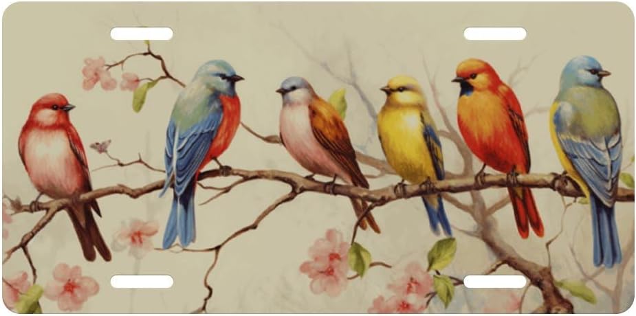 Placa de matrícula decorativa de ramas de flores de pájaros coloridos, etiqueta de tocador, placa de metal para automóvil, placa de aluminio