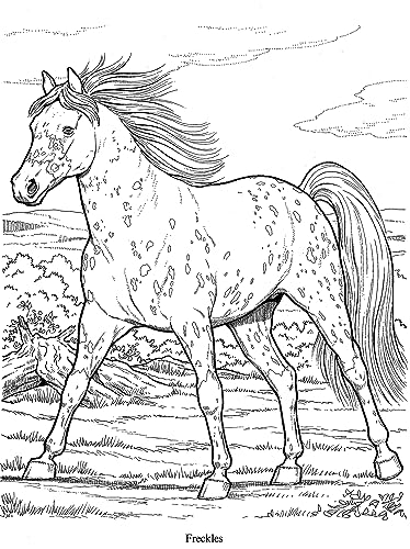 Dover Publications DOV-44465 Wonderful World Of Horses Coloring Book thumb #3