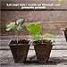 Housolution Seedlings Starter Trays, [10PCS] Biodegradable 12Grids Peat Pots for Gardening Seed Starter Tray, Eco-Friendly Plant Starting Pots Germination Container, 120 Cell Pack