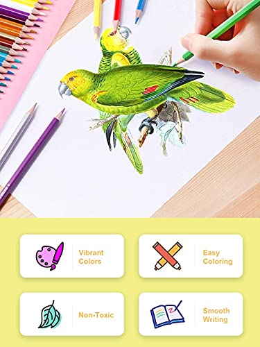 Image of Deli Colored Pencils Set of 36 Tube Caps with Sharpener, Vibrant Colors, Pre-Sharpened Pencils for School, Kids, Teachers, Soft Leads for Art Drawing Pencils for Coloring, Sketching, Painting