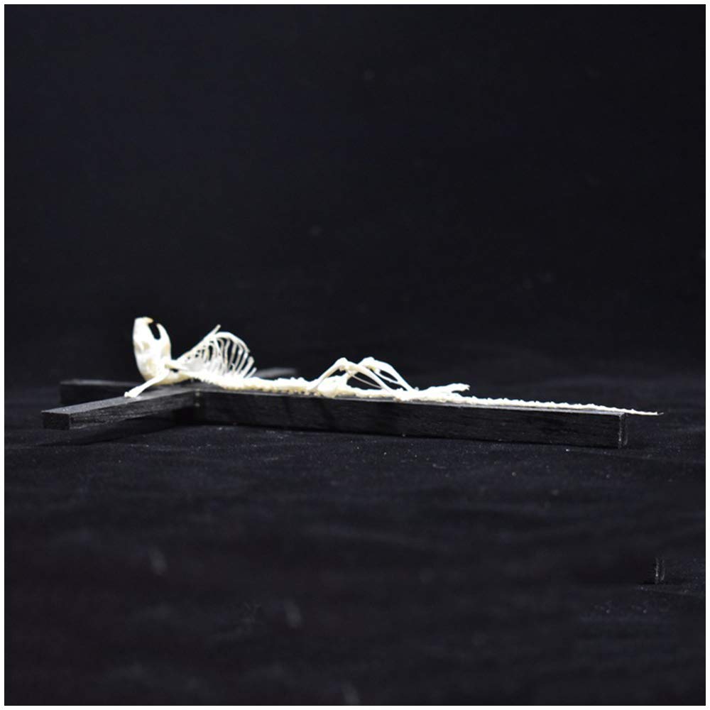 その他 revenge official QCK skeleton mouse doll その他 revenge official QCK skeleton mouse doll revenge