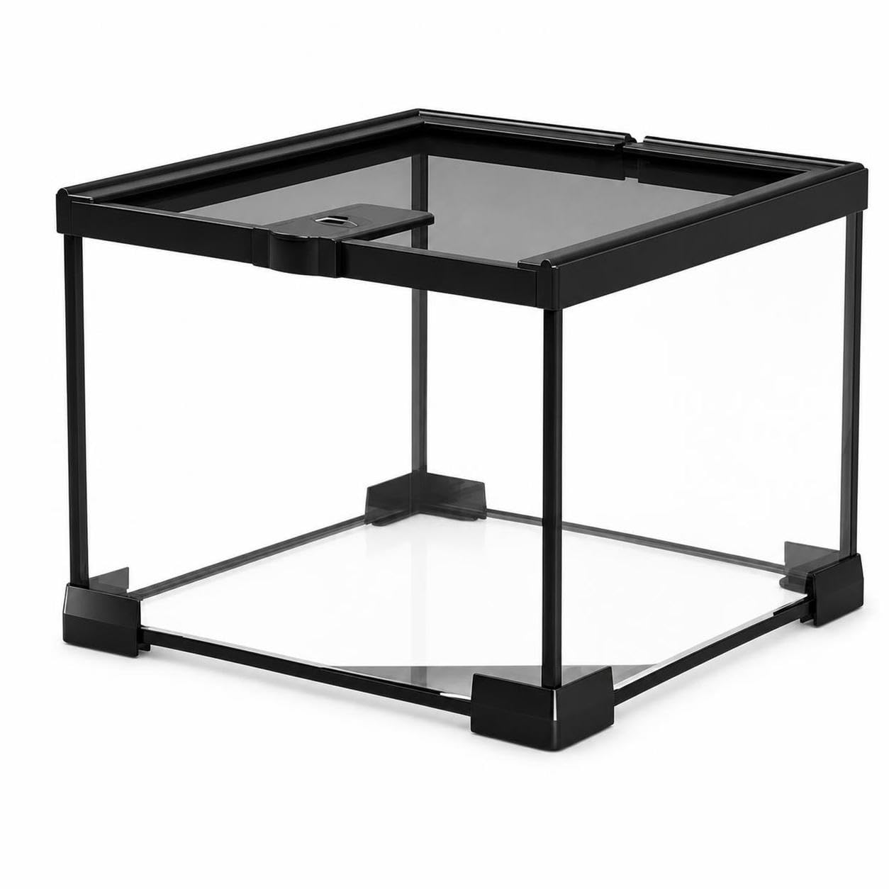 Amphibien ien Terrarium, 20 x 20 x 15 cm | Aus transparentem Material und - für ien Zucht | Amphibien Haltung | für Terraristik, für die Haltung