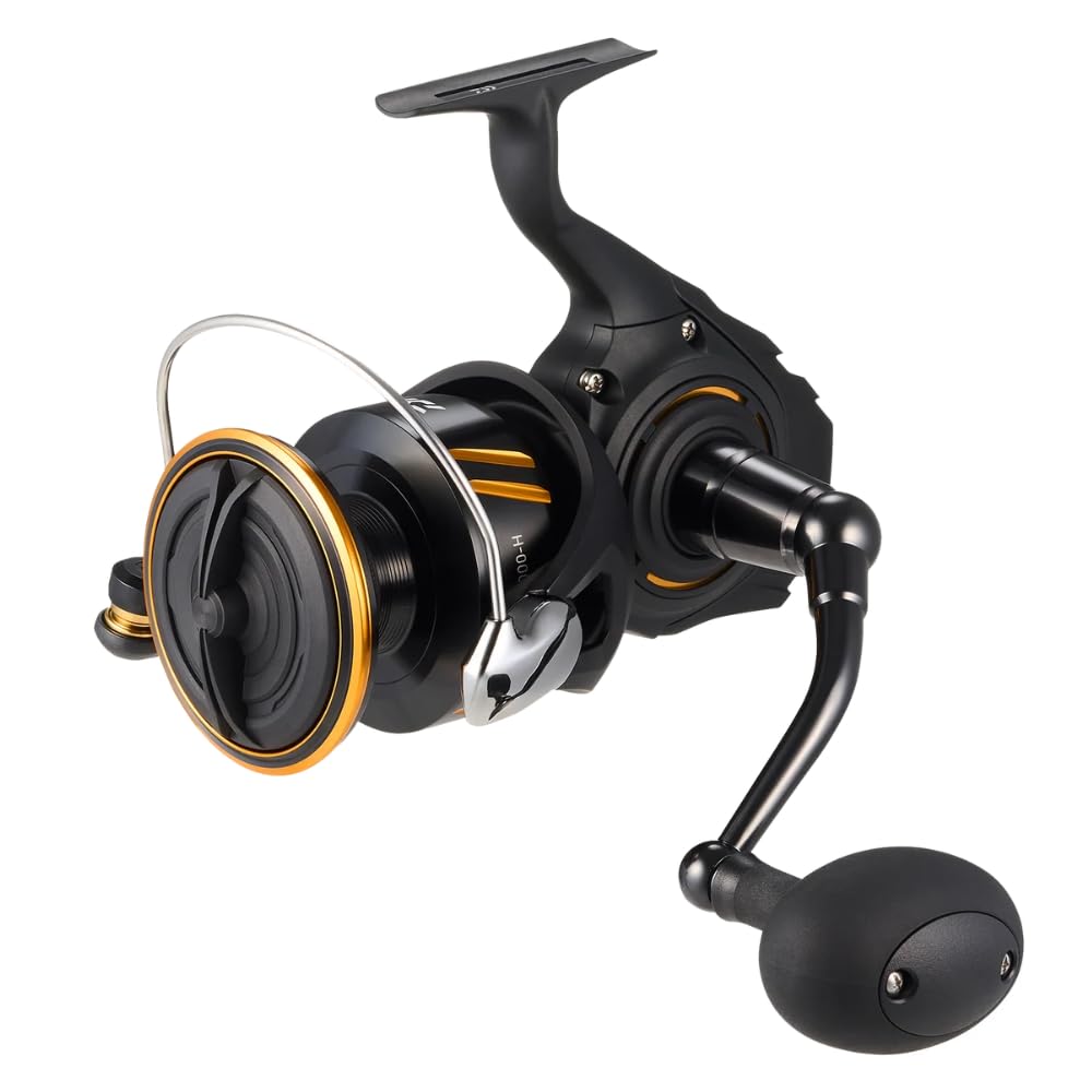 Amazon | ダイワ(DAIWA) スピニングリール BG SW | Daiwa | スピニング