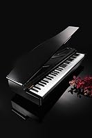 Vista 4 de Korg microPiano 61 - Key Minature Grand Piano, Negro