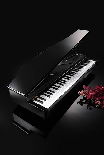 Miniatura 10 de Korg micropiano 61-Key Piano digital compacto, color negro parte superior