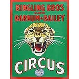 Dimensions 30 x 41 cm (12 x 16 pouces).