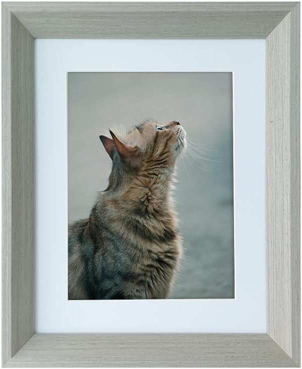 5X7 Inch Wall Photo Frame Set Picture Frame Display with Hanging System for Home Decor Art Gallery Wall Collage(White)