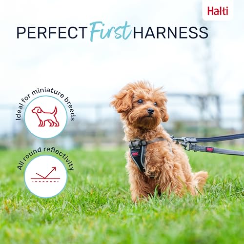 Image of Halti Anatomy Puppy & Small Dog Harness | Size XXS, Grey | Soft & Comfortable Step-in Harness, 4 Adjustable Points, Lightweight & Reflective, For Miniature and Toy Dog Breeds