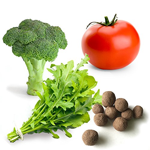 30 Italian Vegetable Seed Balls (Tomato, Broccoli, Arugula)- Herb & Vegetable Seed Bombs to Make Gardening Fun and Simple! 30 Italian Vegetable Seed Balls (Tomato, Broccoli, Arugula)- Herb & Vegetable Seed Bombs to Make Gardening Fun and Simple!