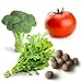 30 Italian Vegetable Seed Balls (Tomato, Broccoli, Arugula)- Herb & Vegetable Seed Bombs to make gardening fun and simple!