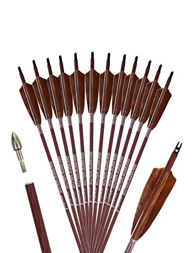 PANDARUS Archery 31-Inch Carbon Hunting Arrows, 4-Inch Turkey Feather Fletching with Replaceable Points, Targeting Practice Arrows Spine 500 for Recurve & Traditional Bows