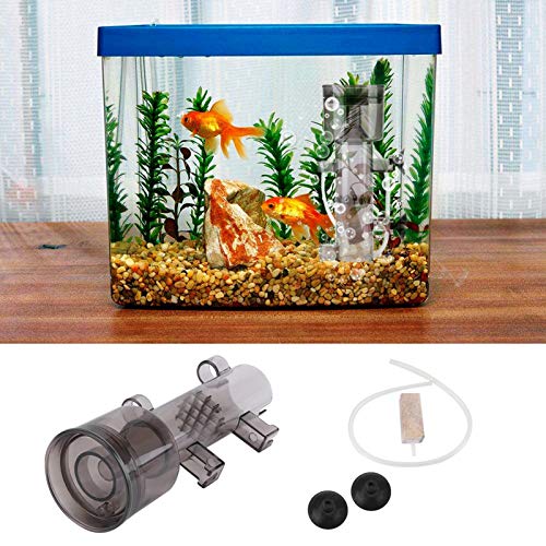 Image of Tiiyee Protein Skimmer, Fish Tank Surface Skimmer Water Filter Accessory | Fish Tank Water Internal Filter, Improves Oxygen Exchange & Water Clarity for Small Coral Aquarium Tropical Marine Reef
