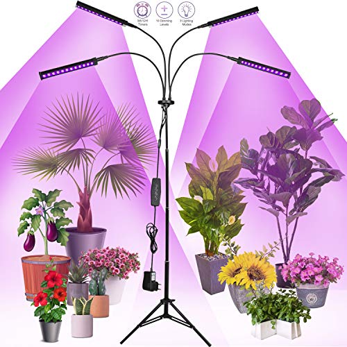 Lampada Per Coltivazione Piante Aqexreight 1000W LED, Spettro Completo, Impermeabile IP20, Per Casa E Giardino