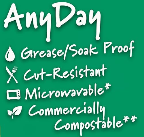 Solo 10" Paper Plates, Winter Design, Pack Of 20 Plates #TOP2