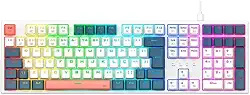 TECLADO MECANICO GAMER REDRAGON TRUNDLE RGB BRANCO, AZUL E ROSA SWITCH MARROM