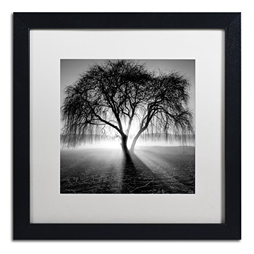 Framed Wall Art - Moises Levy 'Lightning Tree I' Wall Decor with ...