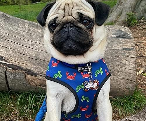pug harness amazon