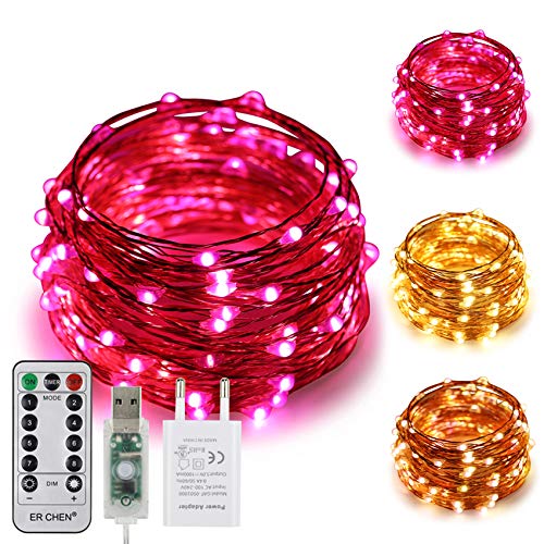 ErChen USB Strom-betrieben Zweifarbige Led Lichterketten, 33 FT 100 Leds Farbe ändern Dimmbar 8 Modi Kupfer Draht-Lichterketten mit Fernbedienung Timer für Innen Außen Christmas (Warmweiß, Rosa) Cover