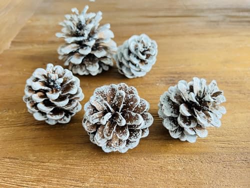 Edzard Deco Pine Cones, white, size 50-90 mm, 600 ml bag, Brown / White, 50 bis 90 mm - Image 2