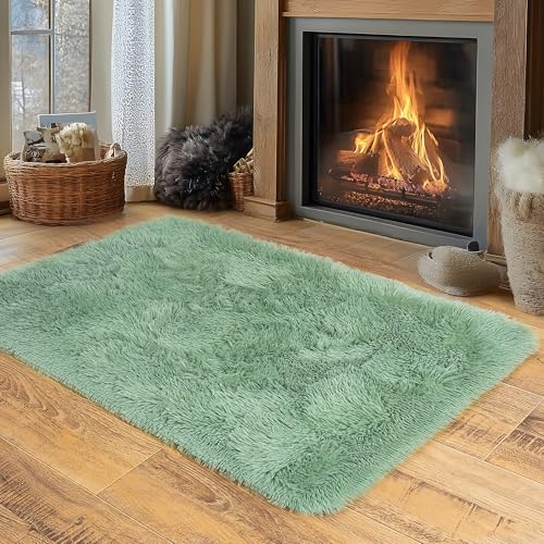 Small Area Rug, 2x3 Rug for Bedroom Shaggy Throw Rugs for Dorm Rug, Soft Shag Carpet for Kids Room, Plush Comfy Fluffy Bedside Rug for Home Decor Aesthetic, Mint Green