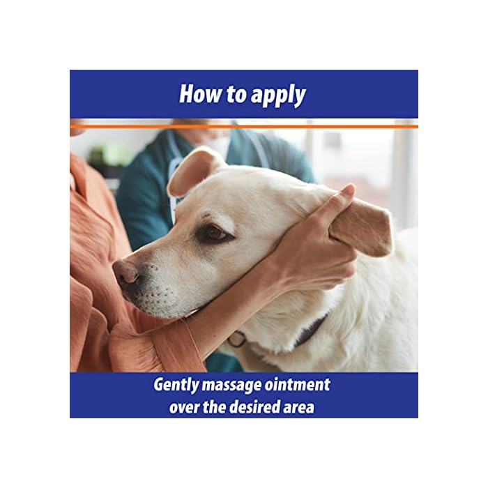 Exmarid Ointment for Dogs - Itchy Dog Skin Relief, Helps Soothe Itchy and Dry Skin Irritation, Cleanses and Disinfects (100g) - Image 6