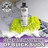 Chemical Guys CWS/1010/64 Maxi-Suds II Foaming Car Wash Soap (Works with Foam Cannons, Foam Guns or Bucket Washes) Safe for Cars, Trucks, Motorcycles, RVs & More, 64 fl. Oz (Half Gallon), Grape Scent