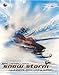Produktbild Snow Storm: x-treme snow racing action