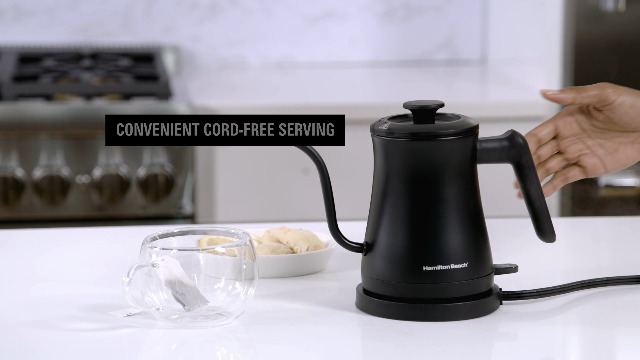 Amazon.com: Hamilton Beach Compact 20 oz. / 0.6 Liter Gooseneck