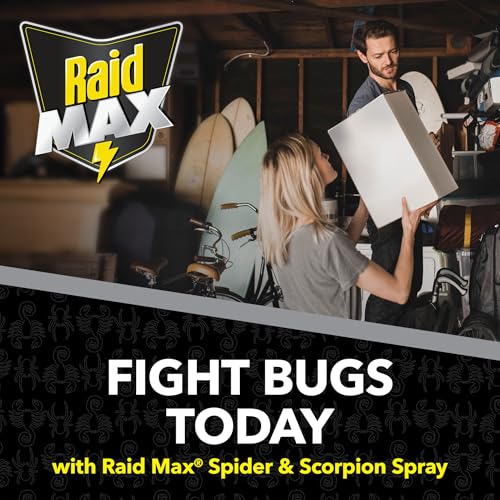 Image of Raid Max Spider and Scorpion Killer, Kills Spiders, Scorpions, Roaches, Ants, Waterbugs, Earwigs, 12 Oz