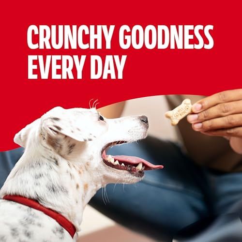 Image of Milk-Bone Original Biscuits Small Dog Treats, 12 Boxes | 24-oz. boxes, Tail-wagging meaty taste, 15% protein, For dogs less than 20 lbs.