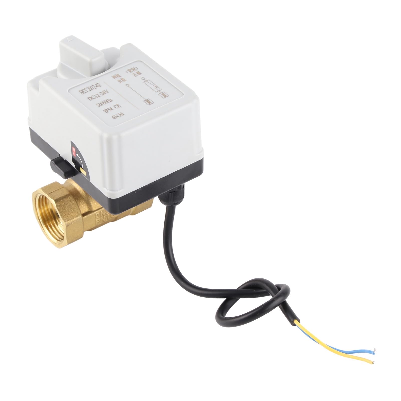 Vanne Motorisée 2 Voies DN25 Normalement Fermée Laiton ABS DC 12V-24V