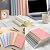 Leelosp 12 Pcs Small Spiral Notebook Lined Spiral Journal College Ruled Notebook Wire Bound Kraft Cover, 120 Pages for Work (Light Pastel,5.5 x 8.3 Inch)