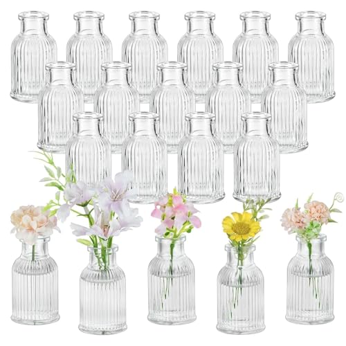 Glasseam Kleine Vasen Glas für Hochzeit: 20 Stück Mini Vase für Party Home Room Wohnzimmer Regal Tisch Deko- Blumenvase Klein Glasvasen Set für Blumen Bud Trockenblumen Pflanzen