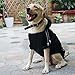 Eastlion Hunde Warm Hoodies Mantel Kleidung Pullover Haustier Welpen T-Shirt Dog Coat Grau 3XL