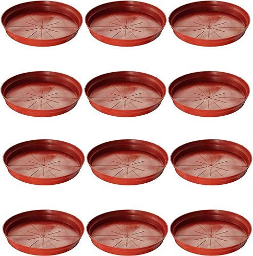 Shree Parshva Plate Planter Tray 8 inch Terracotta (Set of 12 pcs) (B08VGG2WRX) Amazon Price History, Amazon Price Tracker