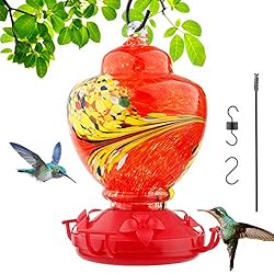 Amazon.com : Hummingbird Feeders for Outdoors, Hand Blown Glass