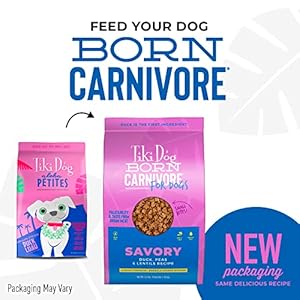   Tiki-Dog-Born-Carnivore-for-Dogs-Savory-Duck-Peas-Lentils-Recipe-Grain-Free-Baked-Kibble-for-Maximum-Nutrition-For-Adult-Dogs-and-All-Size-Breed-Dogs-35-lbs-Bag
