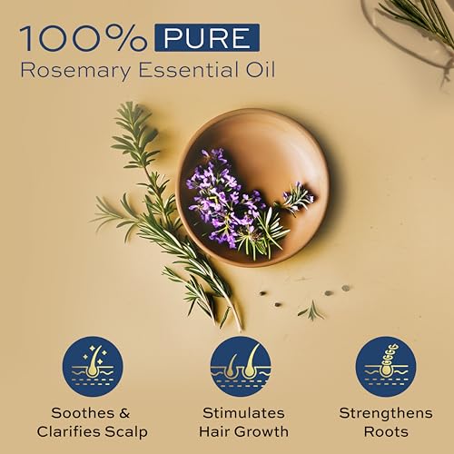 Image of Parachute Advansed Rosemary Essential Oil | 100% Pure | Hair Growth & Hair Fall Control | Thick & Voluminous Hair | Moisturises dry hair, Reduces hair breakage, Improves hair Resilience | 14ml