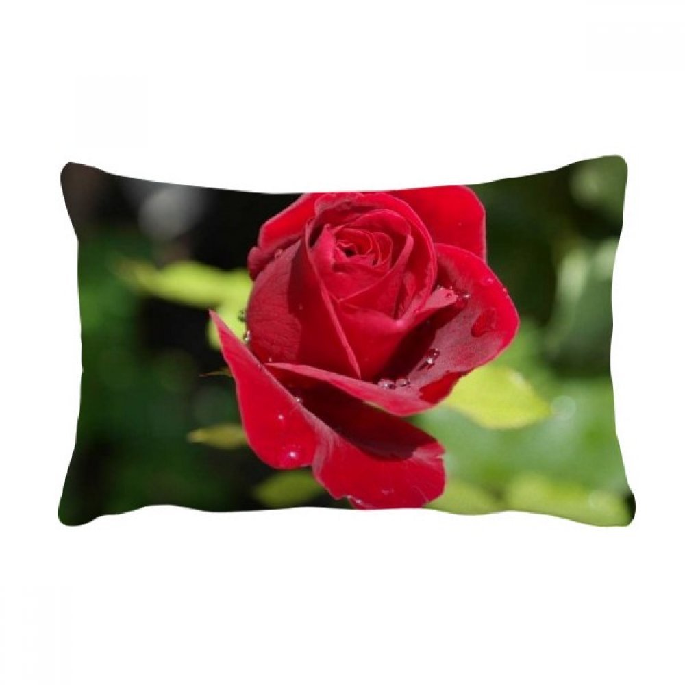 Coussin lombaire roses rouges : cadeau deco ideal pour canape