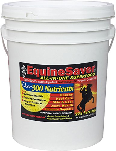 EquineSaver Nutritional Supplement for Horses by Figuerola. Contains NutraSaver-EQ: 300 Key Nutrients to Supply Your Horseâ€™s Nutritional and Therapeutic Needs for Optimal Health and Performance. (25)