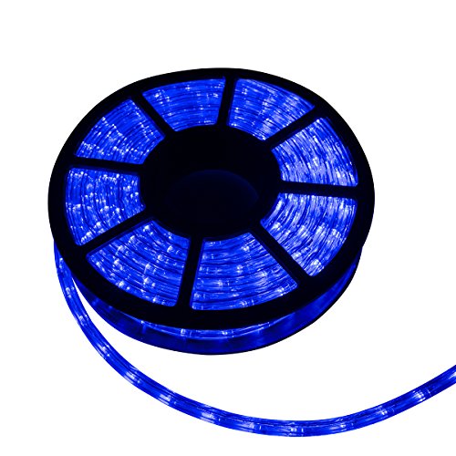 Usexport 30M 100FT 110V 1080 LED Rope Light Home Indoor/Outdoor Christmas Decorative Party Lighting Blue