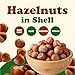 Food to Live Hazelnuts in Shell, 2 Pounds – Oregon Whole Filberts for Snacking Baking and Crafts, Unsalted, Unroasted, Keto, Vegan, Non-GMO, Kosher, Bulk Nuts
