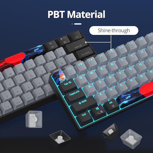 Image of 60 Percent Gaming Keyboard 61 Keys Wired Mechanical Keyboard Ultra Compact Key Board Red Switch LED Backlit for Windows Laptop Gamer(61Heihui)