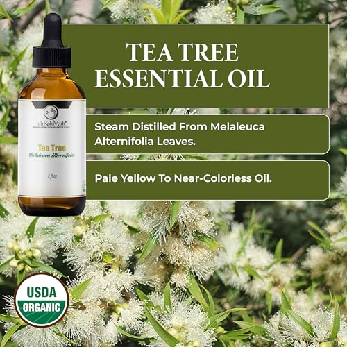 Aceite Esencial Orgánico de Árbol de Té 2 Fl Oz miniatura 3