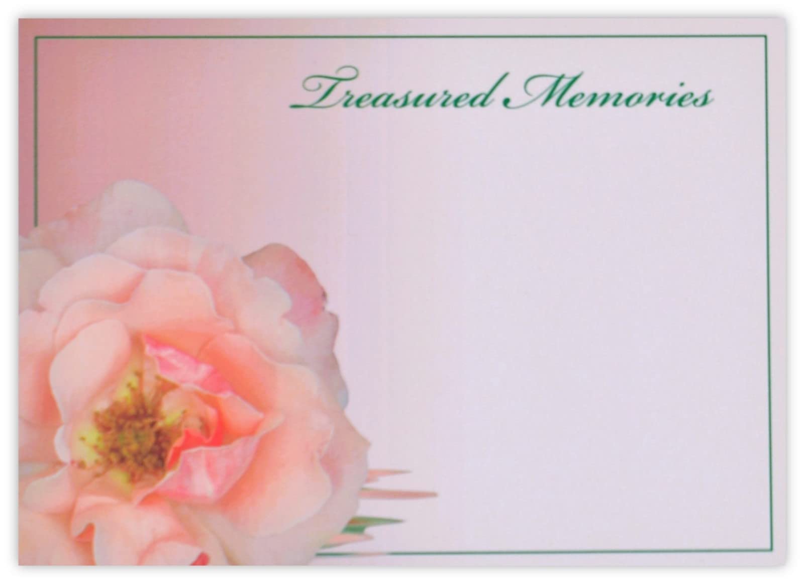 celloexpress Treasured Memories (China Rose) Flower Message Cards - 90mm x 125mm - Bereavement Florist Card Sympathy Condolences Notes (Pack of 18)