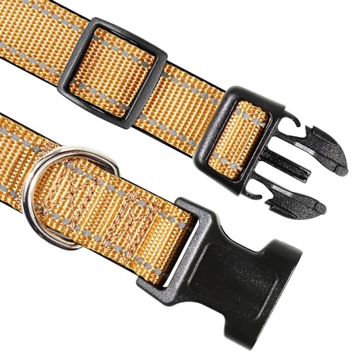 Joytale Collare Cane Riflettente,Imbottito e